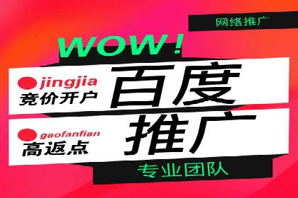 Sem优化公司实例：电商流量提升策略